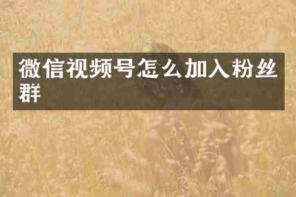 微信视频号怎么加入粉丝群