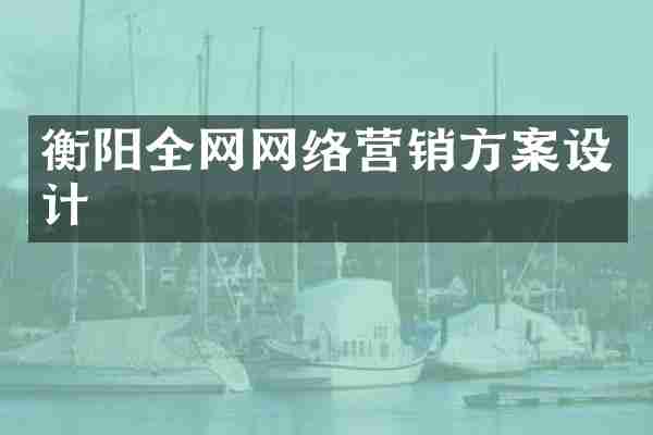 衡阳全网网络营销方案设计