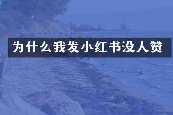 为什么我发小红书没人赞