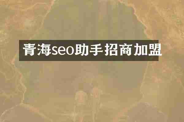 青海seo助手招商加盟