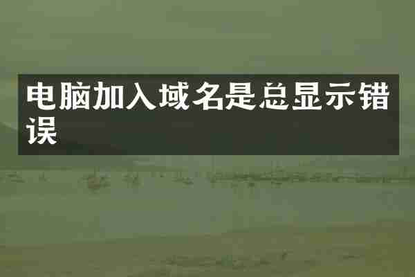 电脑加入域名是总显示错误