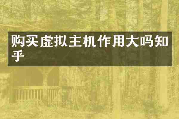 购买虚拟主机作用大吗知乎