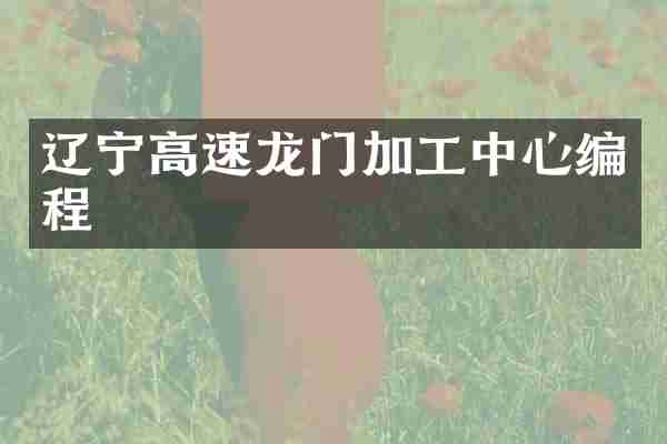 辽宁高速龙门加工中心编程