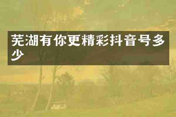 芜湖有你更精彩抖音号多少