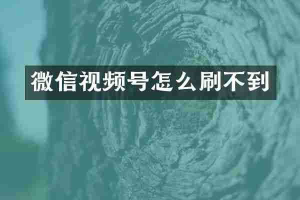 微信视频号怎么刷不到