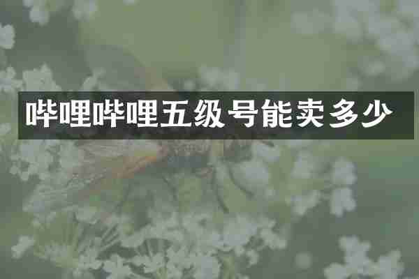 哔哩哔哩五级号能卖多少
