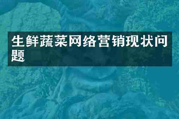 生鲜蔬菜网络营销现状问题