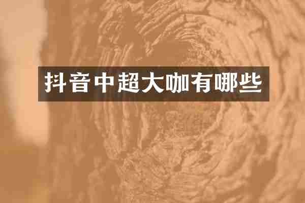 抖音中超大咖有哪些