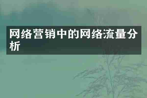网络营销中的网络流量分析