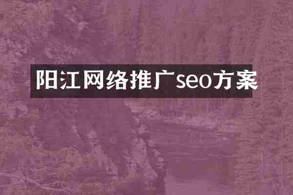 阳江网络推广seo方案