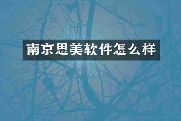 南京思美软件怎么样