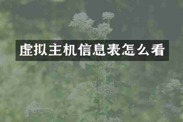 虚拟主机信息表怎么看