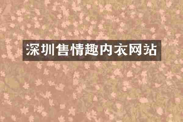 深圳售情趣内衣网站