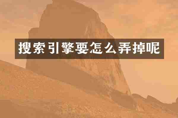 搜索引擎要怎么弄掉呢