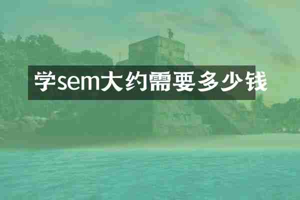 学sem大约需要多少钱