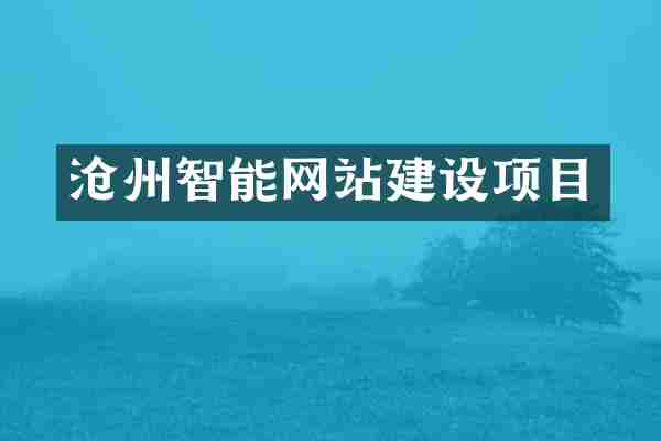 沧州智能网站建设项目