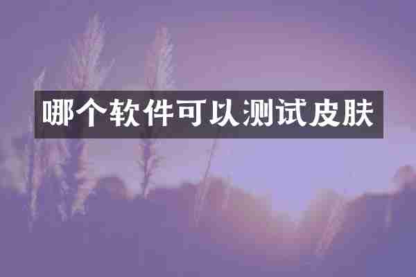 哪个软件可以测试皮肤