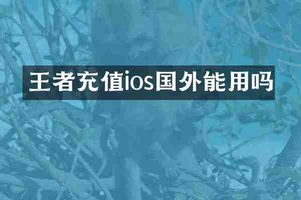 王者充值ios国外能用吗