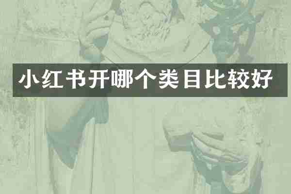 小红书开哪个类目比较好