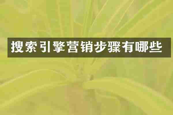 搜索引擎营销步骤有哪些