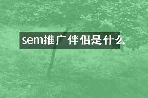 sem推广伴侣是什么