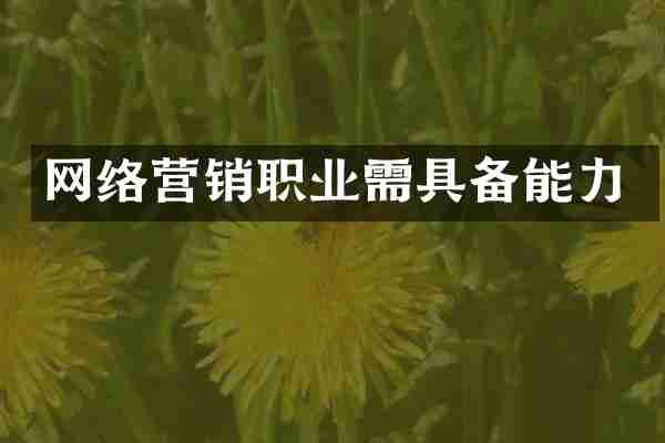 网络营销职业需具备能力