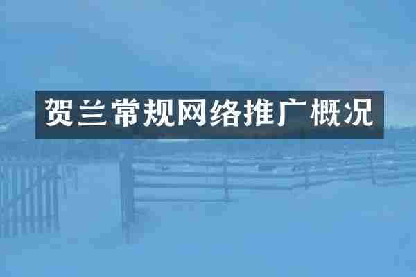 贺兰常规网络推广概况