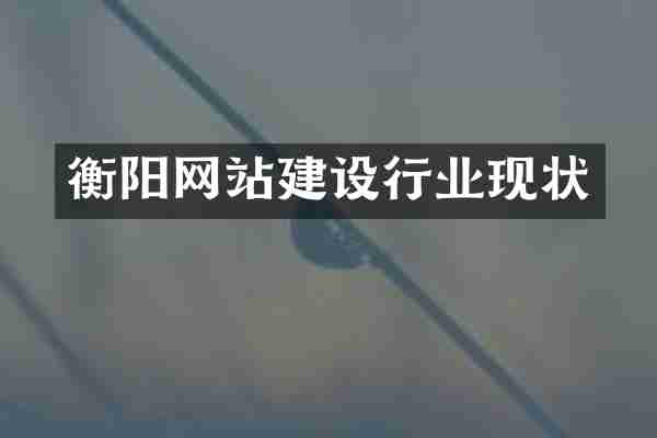 衡阳网站建设行业现状