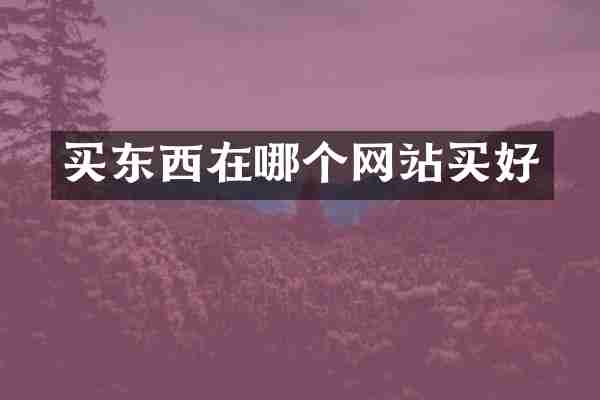 买东西在哪个网站买好