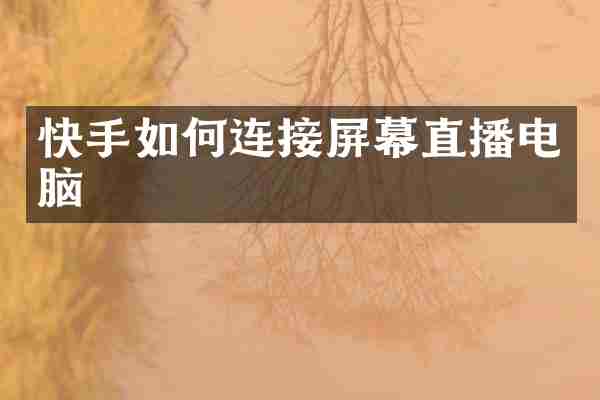 快手如何连接屏幕直播电脑