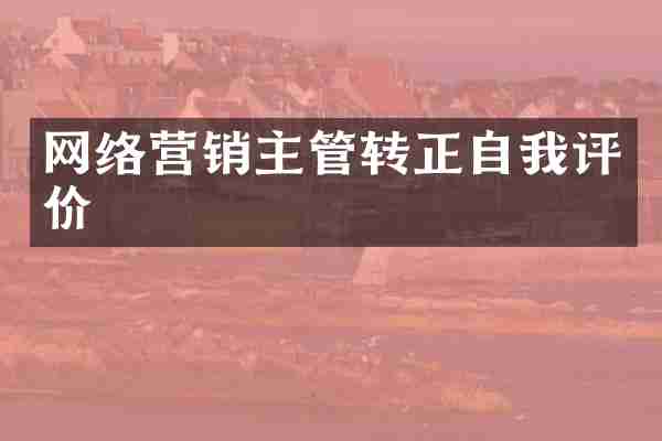 网络营销主管转正自我评价