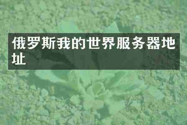 俄罗斯我的世界服务器地址