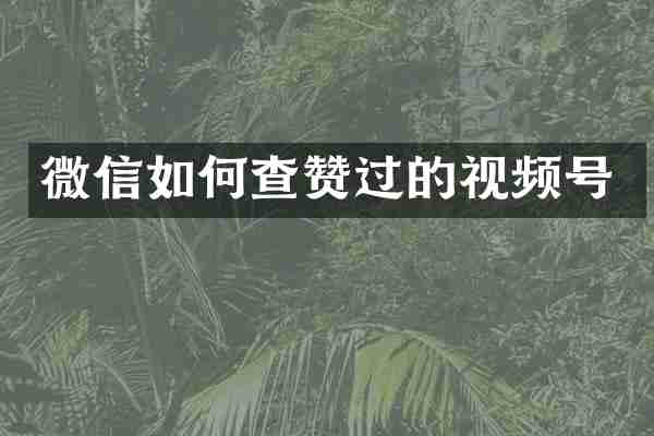 微信如何查赞过的视频号