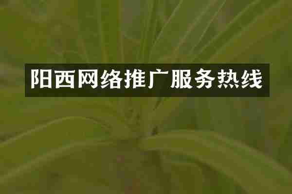 阳西网络推广服务热线