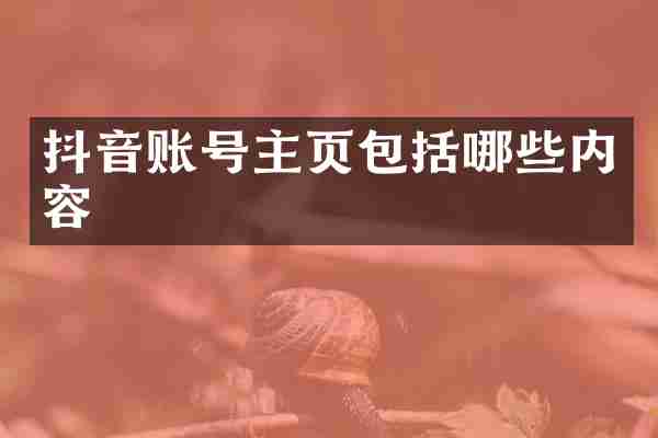 抖音账号主页包括哪些内容