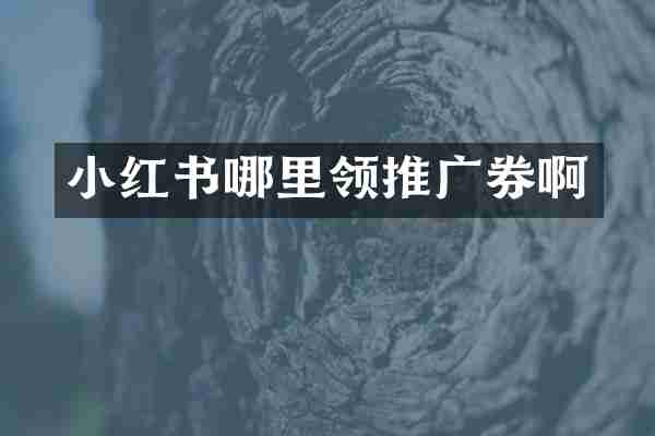 小红书哪里领推广券啊