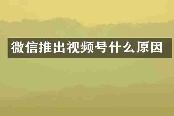 微信推出视频号什么原因