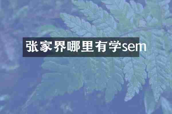 张家界哪里有学sem