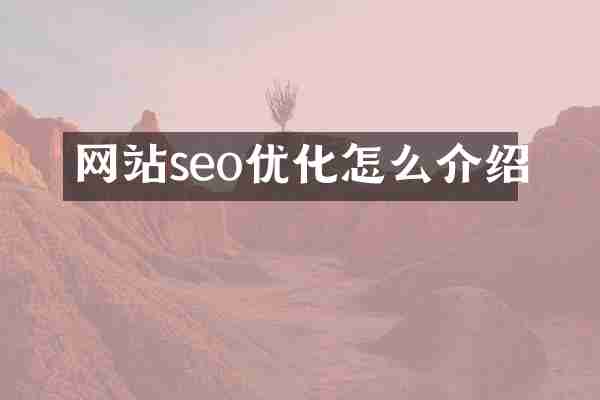 网站seo优化怎么介绍