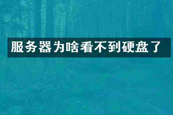 服务器为啥看不到硬盘了