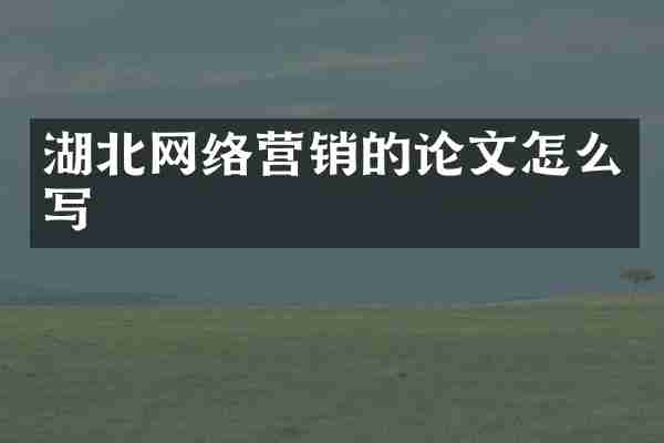 湖北网络营销的论文怎么写