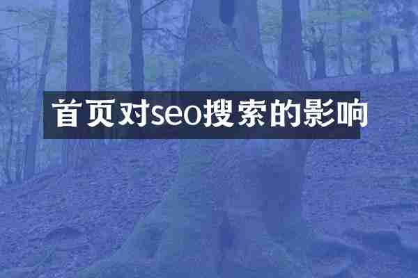 首页对seo搜索的影响