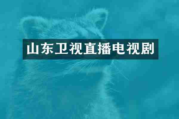 山东卫视直播电视剧