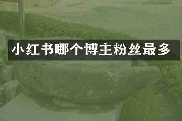 小红书哪个博主粉丝最多