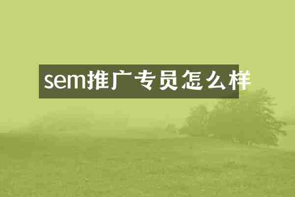 sem推广专员怎么样