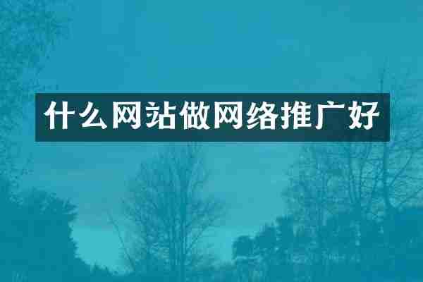 什么网站做网络推广好