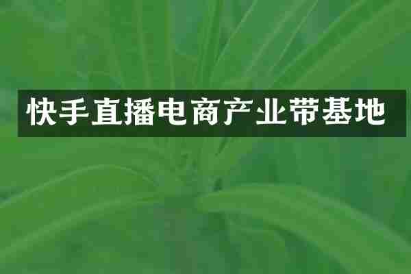 快手直播电商产业带基地