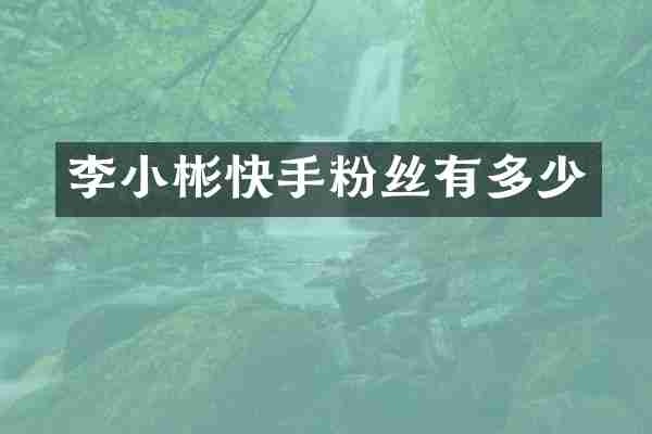 李小彬快手粉丝有多少