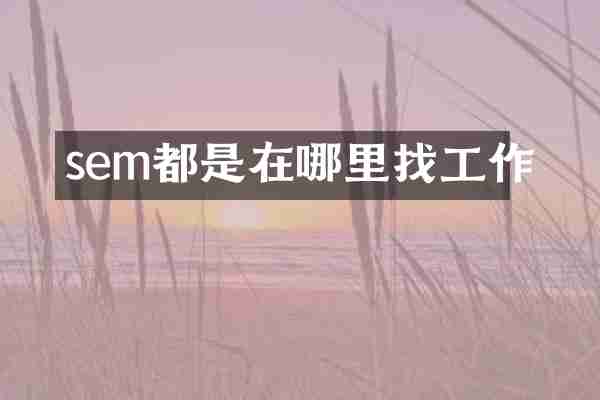 sem都是在哪里找工作