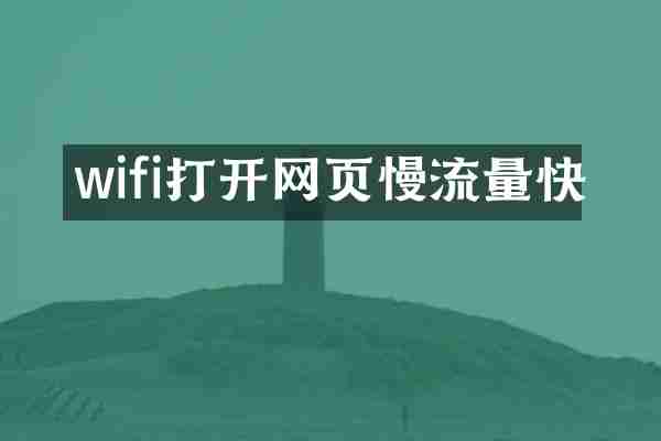 wifi打开网页慢流量快